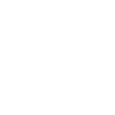 final Niche logo N white
