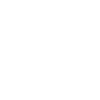 final Niche logo white